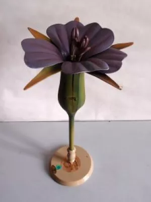 Modell einer Agrostemma Ghitago (Kornblume), Botanisches Museum Greifswald. Foto: David Ludwig, CC BY-SA 3.0, via Wikimedia Commons